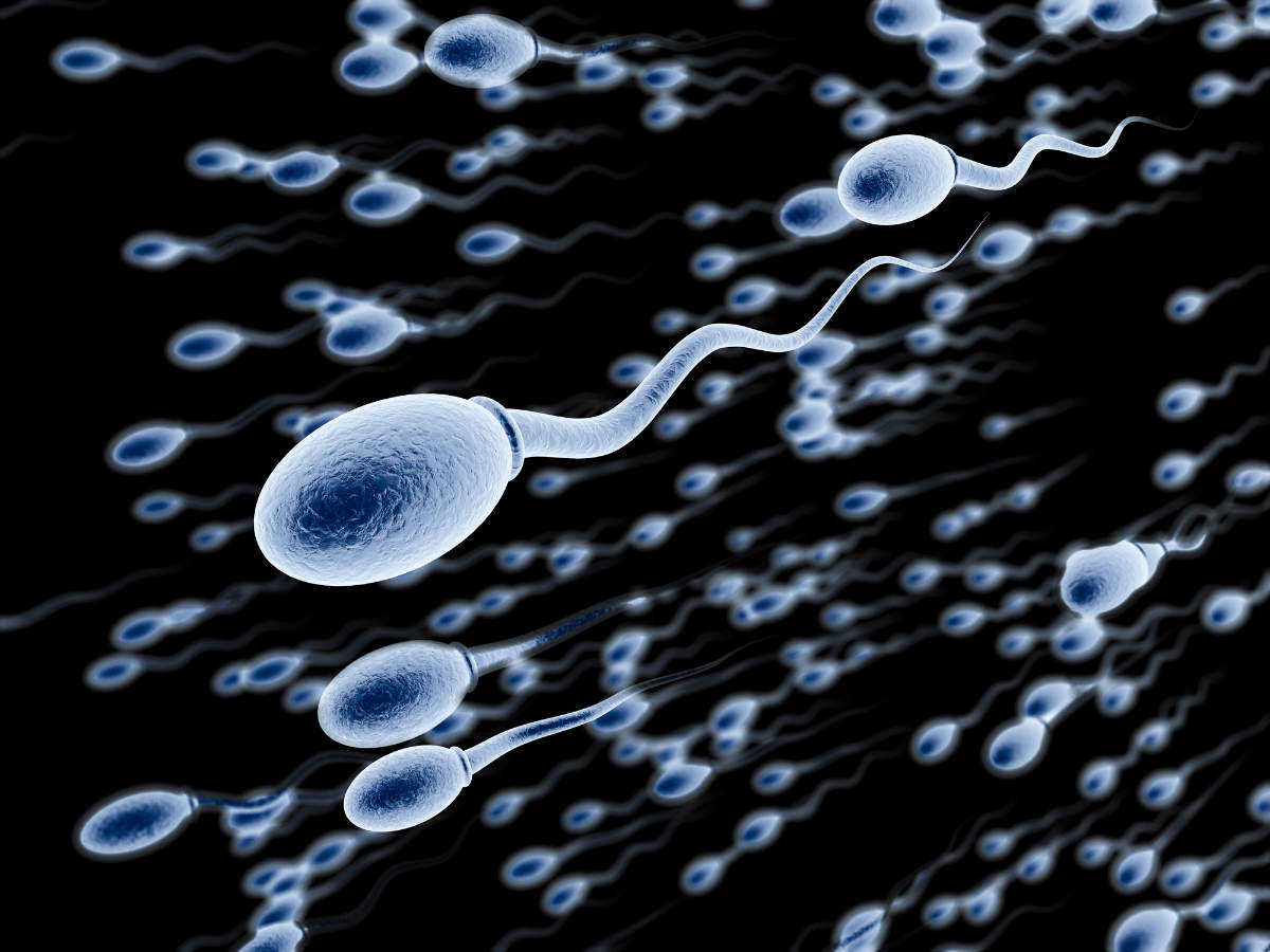 how many sperm in one ejaculation